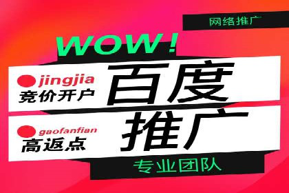 SEM代理助力企业：案例分享，优化策略全解析