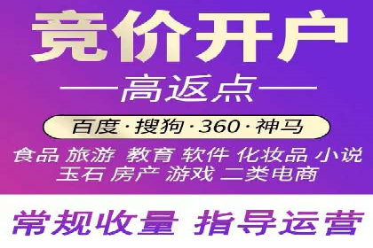 百度推广效果案例解析